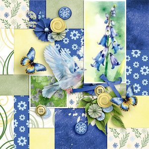 Bluebells