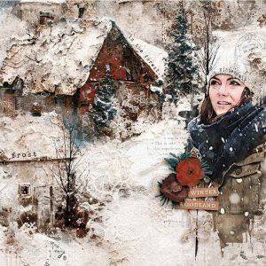 Winter Woodland
