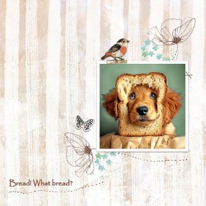 Bread! What bread?