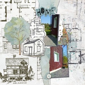 Yard project.jpg