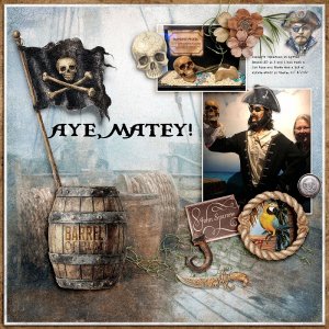 Aye, Matey!