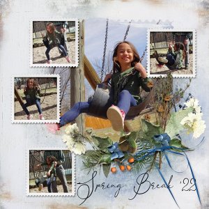 Swing-spring-break.jpg