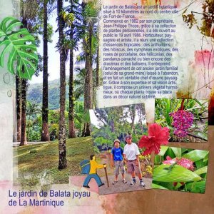 Martinique 12 jardin Balata