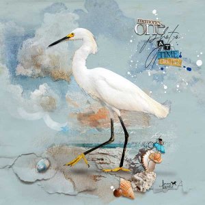 anna-aspnes-digital-scrapbook-artplay-collection-spindrift-jerri-egret.jpg