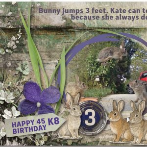Kate's 45th Birthday