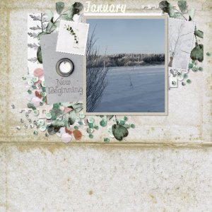 Winter memories January