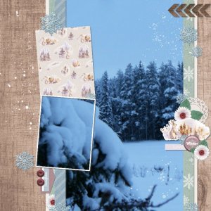 Winter trees.jpg