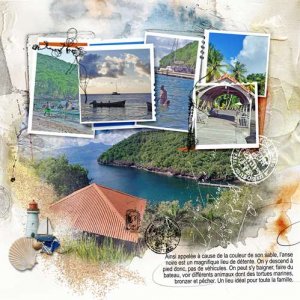 Martinique 15 Anse noire