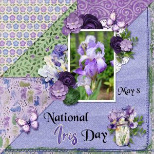irises-aimee-harrison.jpg