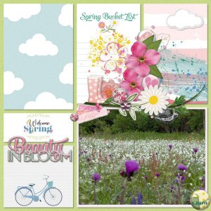 Beauty in bloom
