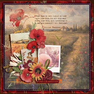 Poppies