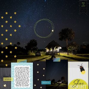 fireflies in Big Cypress