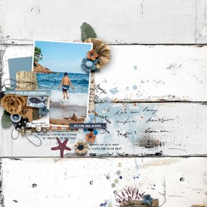 By The Seashore
