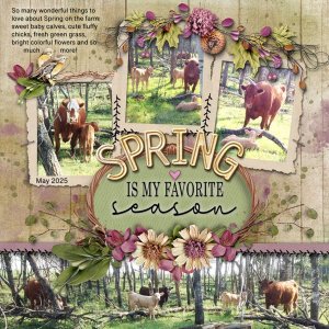 Spring is my Favorite Season