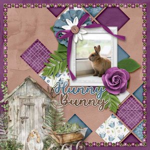 Hunny Bunny