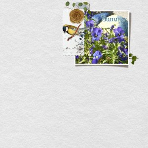 Pansies