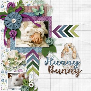 Hunny Bunny