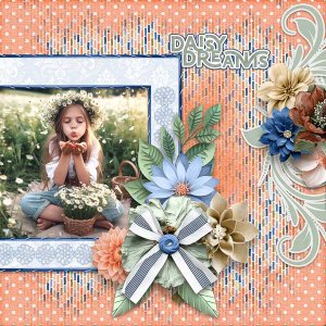 Daisy Dreams