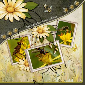 Bees