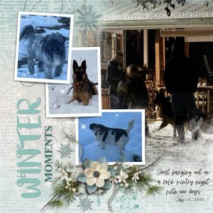 Winter Moments