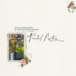 Field Notes