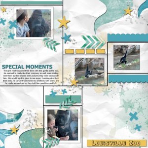 Special Moments