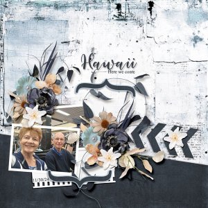 Hawaii-cover-page.jpg