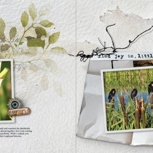 Joy in Little Things