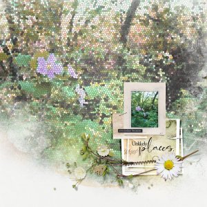 August Challenge #3 - Everyday Beauty