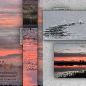A Special Kind of Sunrise