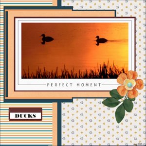 August 2025 Challenge #2 - Mood Board-DUCKS.jpg