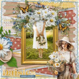 Daisies Fresh Picked