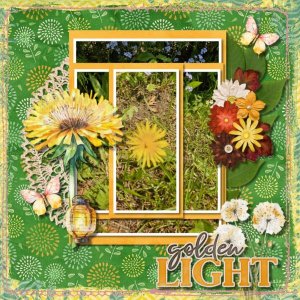 Dandelion Dreams
