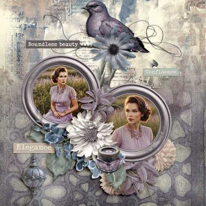 faded-elegance-mystery-scra.jpg
