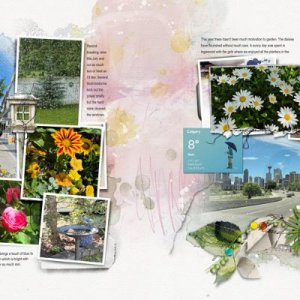July 2025 Monthly Review