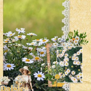 Daisies.jpg