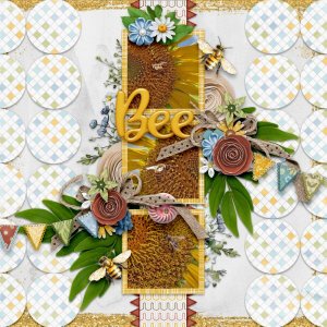 aimeeh-Daisies-1000.jpg