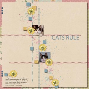 Cats Rule