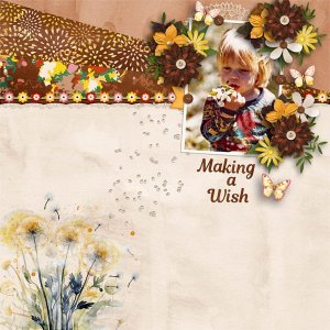 Wishing a Wish