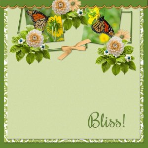Bliss!