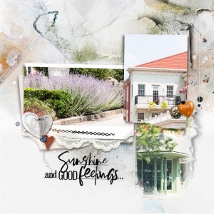 anna-aspnes-digital-scrapbook-FITP3L-beverly-localdrivedbl-R.jpg