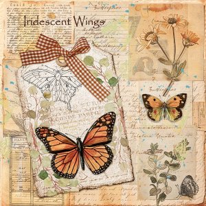 Iridescent Wings