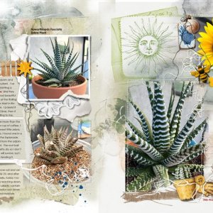 anna-aspnes-digital-scrapbook-fotoinspired-templates-3L-artplay-wildflower-collection-diane-ha...jpg