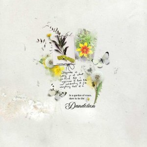 Dandelion.jpg