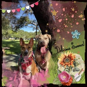 Oscraps-AnnaLiftColor-DeliciousSummer-Aug25.jpg