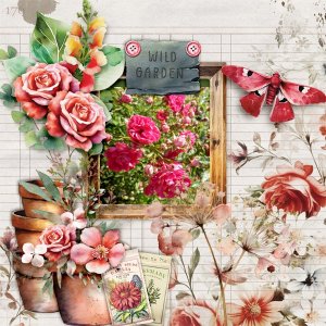 Wild-garden.jpg