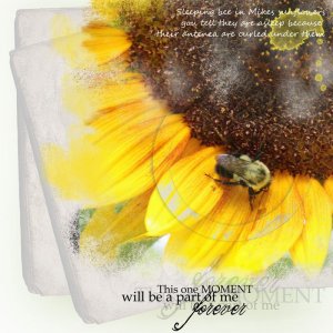 Freebie-sleeping-bee.jpg800.jpg