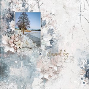Crowned by winter