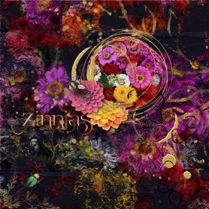 Zinnias.jpg
