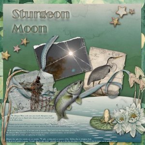 Sturgeon Moon.jpg
